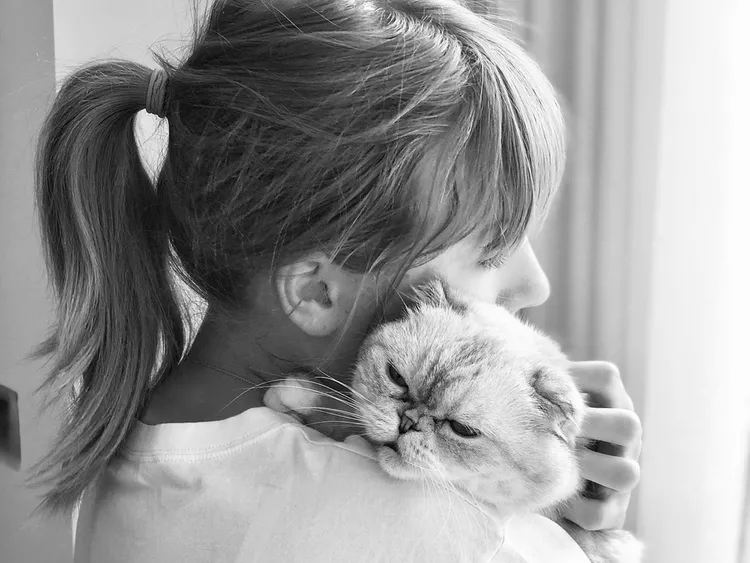 All About Taylor Swift’s Cats: Meredith Grey, Olivia Benson, and Benjamin Button