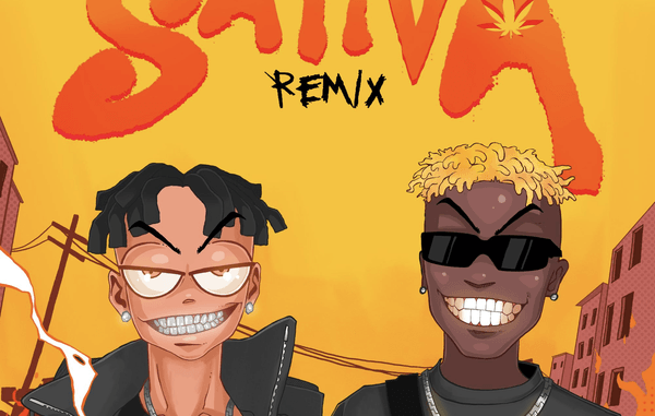 Hydee-flex-Sativa-Remix-Ft-T-Dollar-1.png